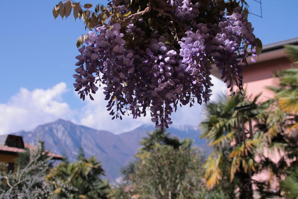 Casa Vacanze Claudette Arco Esterno foto